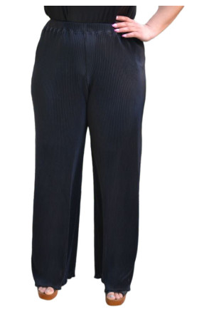 PLEATED PANTS ✅